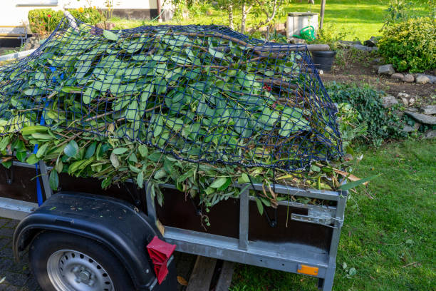 Shed Removal in Westmont, CA